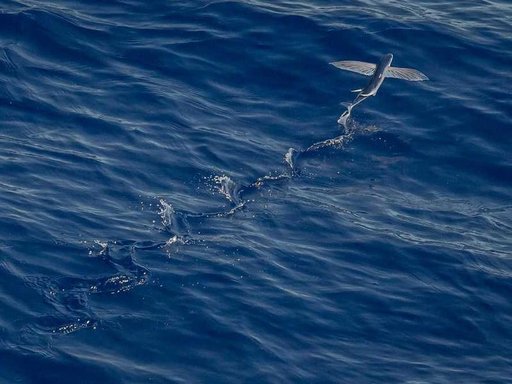 Оренда 4 кімнатного будинку по Спаська вулиця 8-А