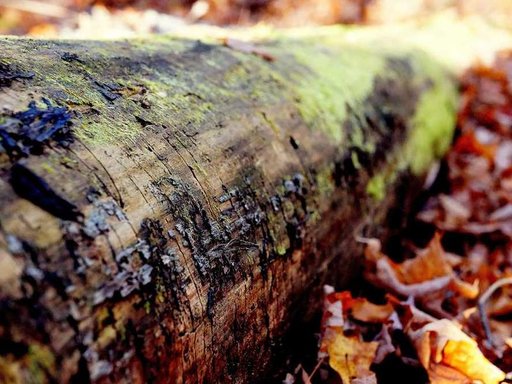 Оренда 3 кімнатного будинку по вулиця Віри Ґедройць 6