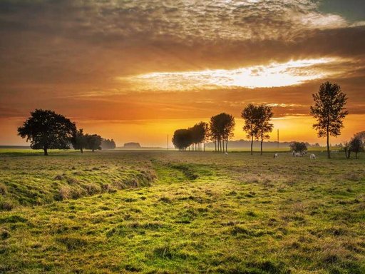 Оренда 1 кімнатного будинку по вулиця Красицького 37