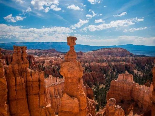 Оренда 4 кімнатного будинку по Метрологічна вулиця 60