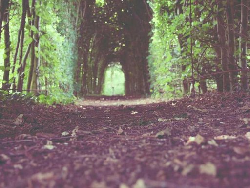 Оренда 5 кімнатного будинку по вулиця Академіка Доброхотова 11