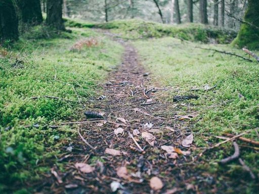 Оренда 1 кімнатного будинку по Новозабарська вулиця 2/6