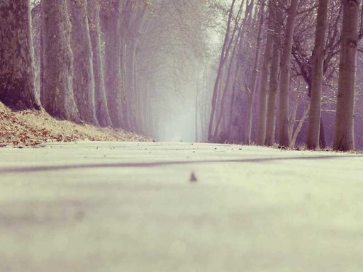 Оренда 5 кімнатного будинку по вулиця Олександри Екстер 16