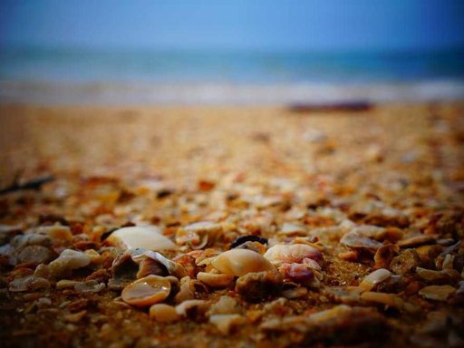 Оренда 1 кімнатного будинку по Теремківська вулиця 12