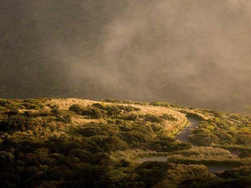 Оренда 2 кімнатного будинку по вулиця Шолом-Алейхема 10