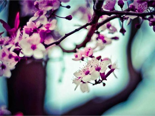 Оренда 3 кімнатного будинку по Регенераторна вулиця 4 к5-10