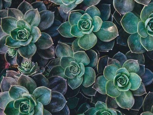 Оренда 3 кімнатного будинку по вулиця Олександра Махова 10