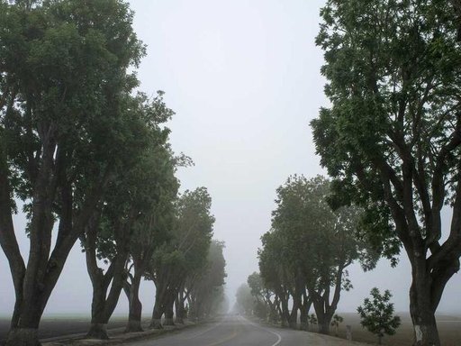 Оренда 3 кімнатного будинку по вулиця Купріна 13