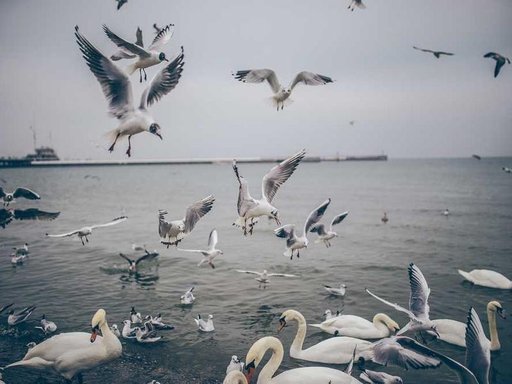 Оренда 5 кімнатного будинку по вулиця Михайла Гришка 7