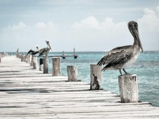 Оренда 4 кімнатного будинку по Здолбунівська вулиця 11-А