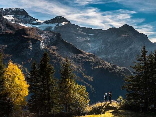 Оренда 3 кімнатного будинку по Звіринецька вулиця 63