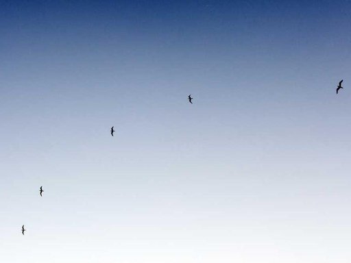 Оренда 2 кімнатного будинку по вулиця Юності 10/1