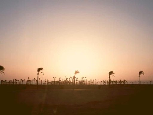 Оренда 1 кімнатного будинку по Ягідна вулиця 34