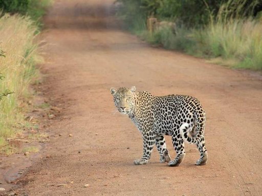 Оренда 4 кімнатного будинку по Берестейський проспект 119/121 к2