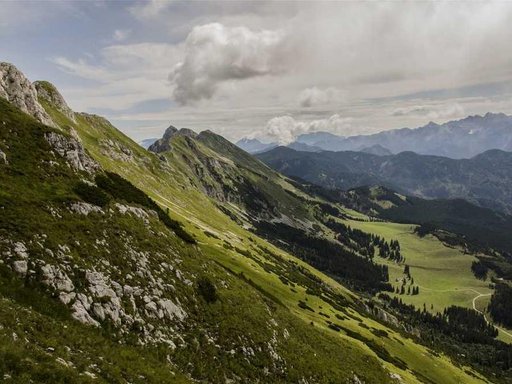 Оренда 3 кімнатного будинку по Борщагівська вулиця 2