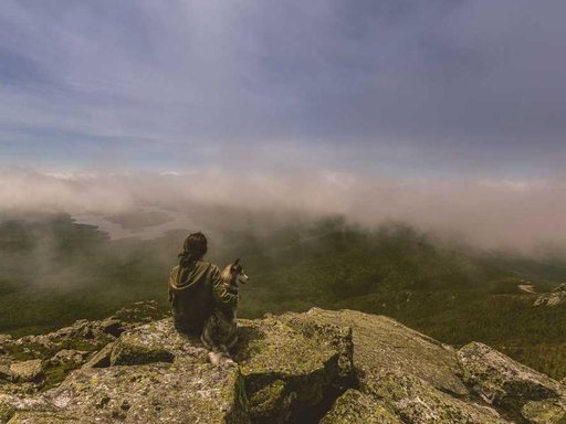 Оренда 5 кімнатного будинку по вулиця Мрії 18