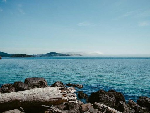 Оренда 4 кімнатного будинку по Лісна вулиця 66-В