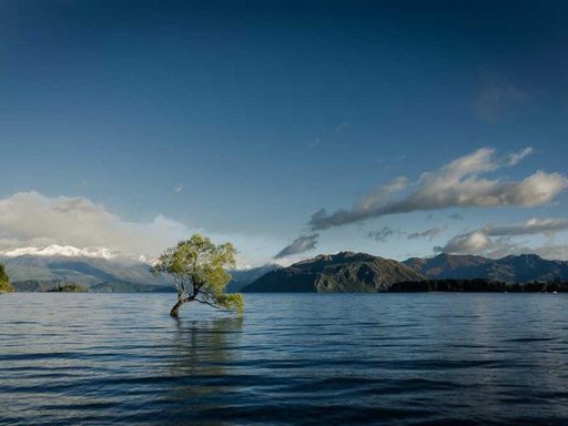 Оренда 2 кімнатного будинку по Вербівська вулиця 22