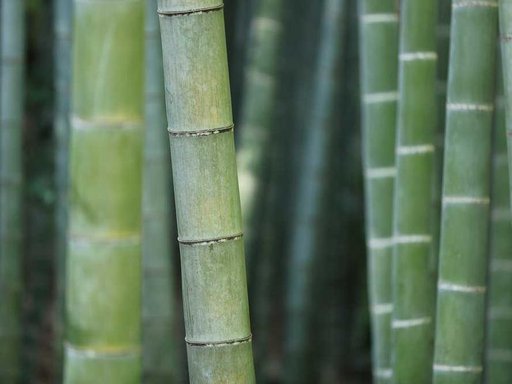 Оренда 5 кімнатного будинку по Бахмацька вулиця 15