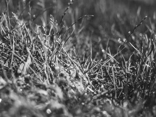 Оренда 4 кімнатного будинку по Щаслива вулиця 39