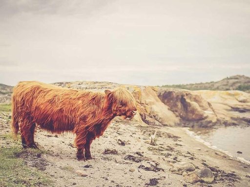 Оренда 2 кімнатного будинку по Заповітна вулиця 24