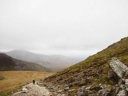 Оренда 2 кімнатного будинку по вулиця Територіальної Оборони 37