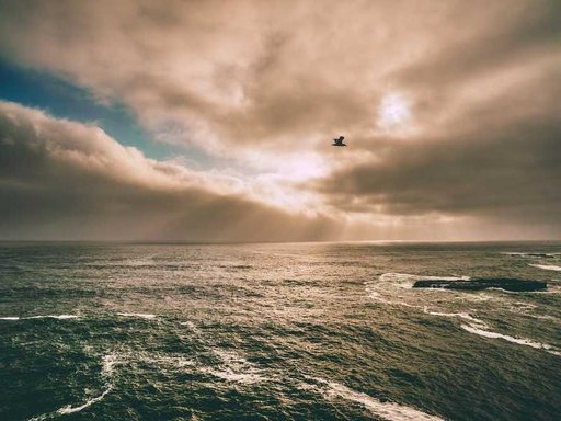 Оренда 1 кімнатного будинку по вулиця Академіка Заболотного 92