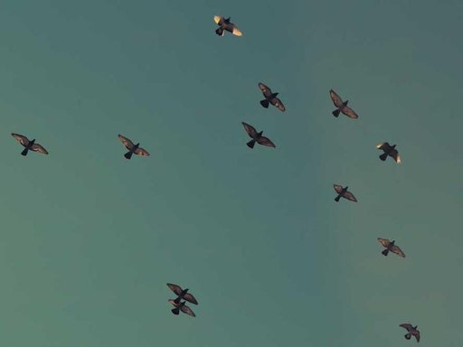 Оренда 3 кімнатного будинку по Обухівська вулиця 73