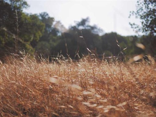 Оренда 5 кімнатного будинку по Зелена вулиця 86