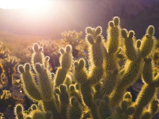 Оренда 5 кімнатного будинку по вулиця Зодчих 24