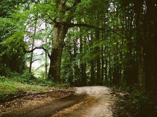 Оренда 5 кімнатного будинку по Буковинська вулиця 13