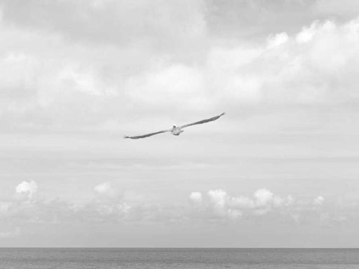 Оренда 1 кімнатного будинку по вулиця Гната Юри 5-А