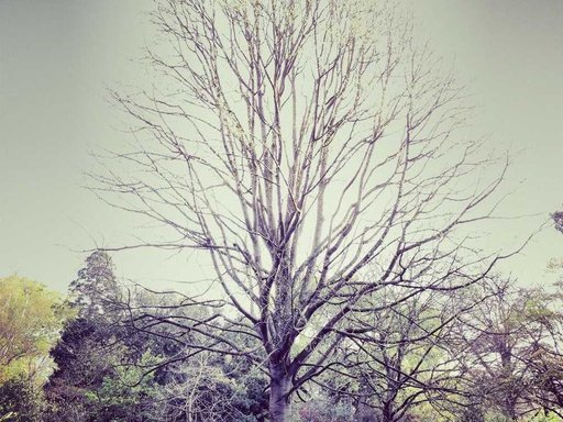 Оренда 5 кімнатного будинку по вулиця Герцена 12