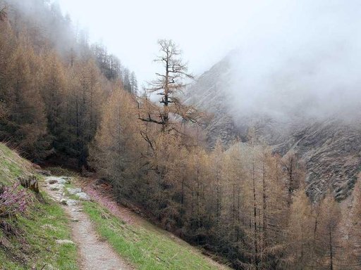 Оренда 1 кімнатного будинку по Дегтярна вулиця 20-Б