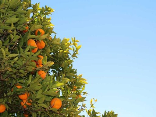 Продажа 1 кімнатної квартири на вулиця Світлицького 37
