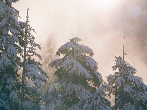 Оренда 3 кімнатного будинку по бульвар Академіка Вернадського 20/2