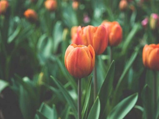 Оренда 1 кімнатного будинку по Серпова вулиця 16/21