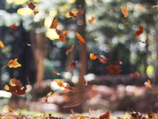 Оренда 1 кімнатного будинку по Закарпатська вулиця 41