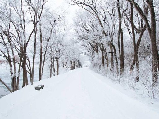 Оренда 1 кімнатного будинку по вулиця Миколи Пимоненка 14