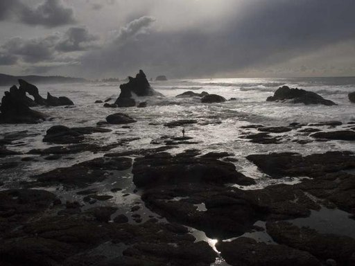 Оренда 2 кімнатного будинку по вулиця Дмитра Захарчука 36