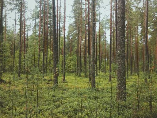 Оренда 1 кімнатного будинку по Кловський узвіз 7