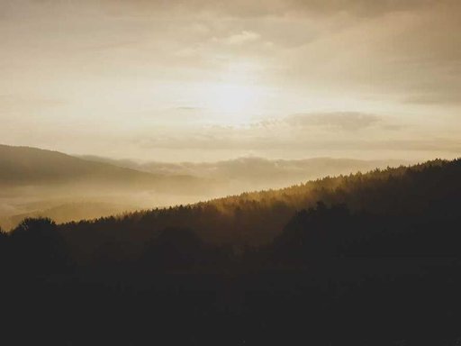 Оренда 1 кімнатного будинку по Костянтинівська вулиця 37