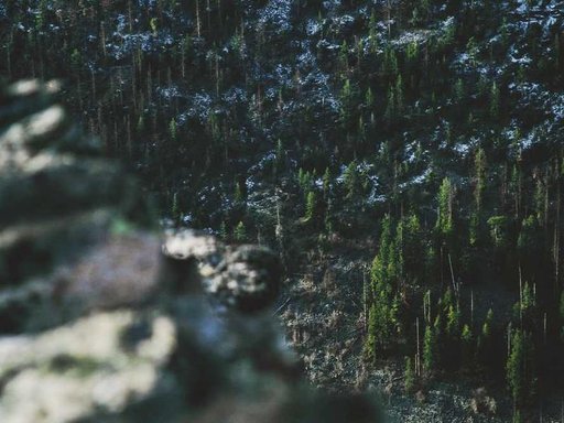 Оренда 5 кімнатного будинку по Братиславська вулиця 11