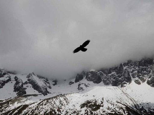 Оренда 4 кімнатного будинку по Глибочицька вулиця 24