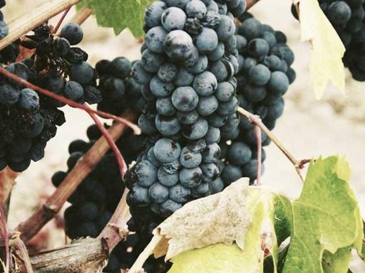 Оренда 1 кімнатного будинку по Згурівська вулиця 13