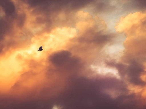 Оренда 3 кімнатного будинку по проспект Павла Тичини 11