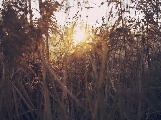 Оренда 5 кімнатного будинку по вулиця Генерала Момота 11-А