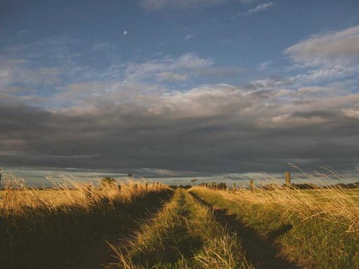 Оренда 5 кімнатного будинку по Ананасна вулиця 4