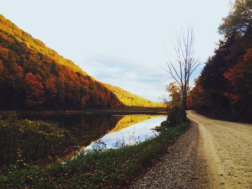 Оренда 5 кімнатного будинку по вулиця Академіка Лебедєва 1