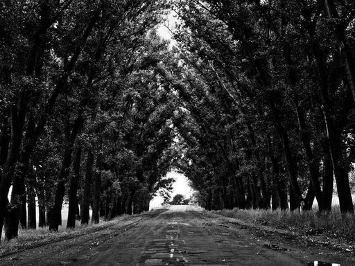 Оренда 3 кімнатного будинку по вулиця Героїв Дніпра 35